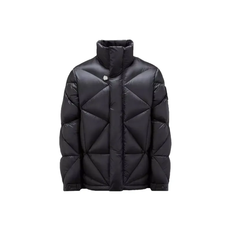Moncler X Pharrell Oak Short Down Jacket-0