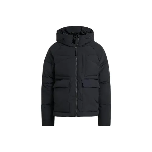 Adidas pure Jackets Men's Black