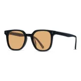 Black Frame with Tea Brown Lens[222319-C2]