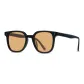 Black Frame with Tea Brown Lens[222319-C2]