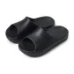 Obsidian Black