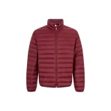 Burgundy VLP