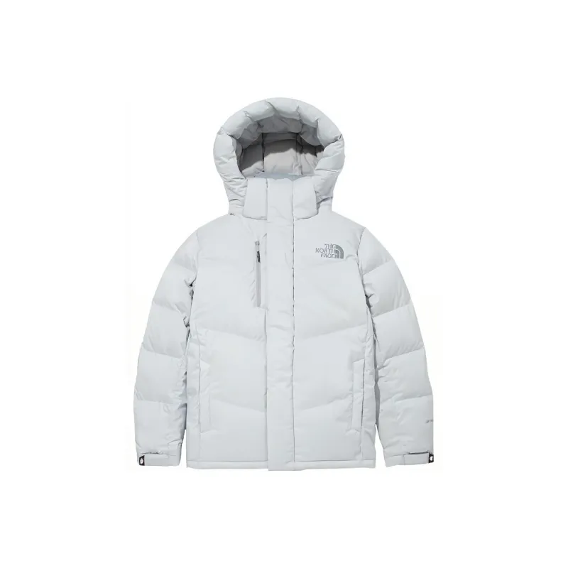 THE NORTH FACE Jacket Winter Unisex Gray-0
