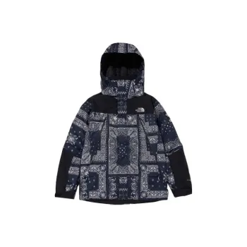 THE NORTH FACE Novelty Gtx Paisley Mountain Jacket