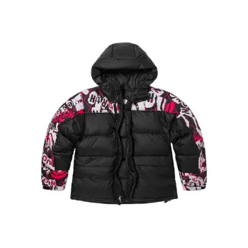 THE NORTH FACE City Outdoor Collection Down Jacket Men's Basic Black