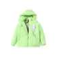 Fruit Green