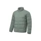 Gray Green