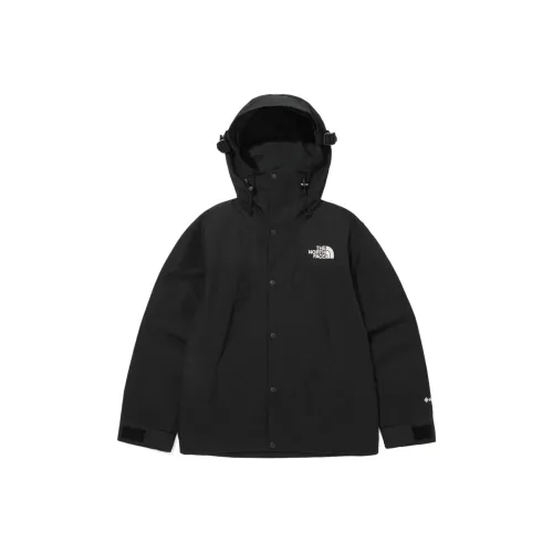THE NORTH FACE M'S Eco Gore Tex Mountain Jacket Black Unisex Korea Version