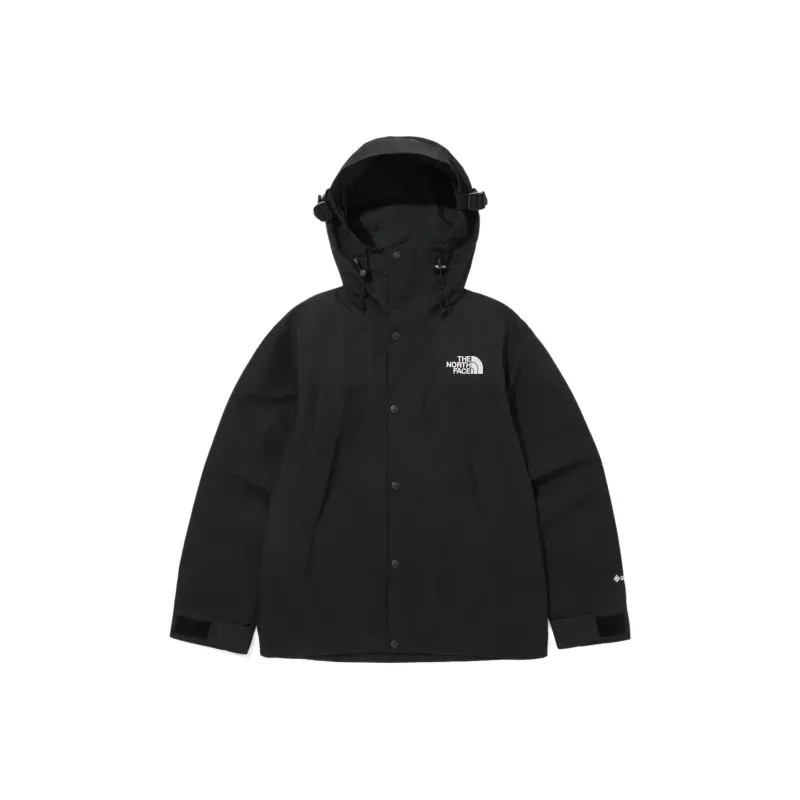 THE NORTH FACE M'S Eco Gore Tex Mountain Jacket Black Unisex Korea Version-0