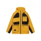 Ginger Yellow