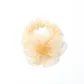 Champagne Hair Tie