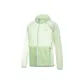 Bamboo Green