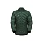 Green-Black