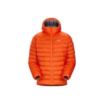 Arcteryx Cerium Down Jacket Men's