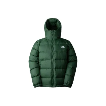 THE NORTH FACE City Outdoor Collection Down Jacket Men's Green