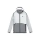 Silver Gray