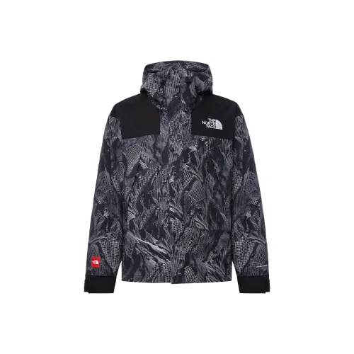 THE NORTH FACE Logo Printed Hooded Jacket