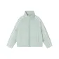 Light Gray Green