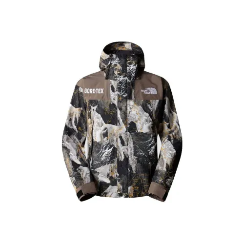 THE NORTH FACE Gtx Mountain Jacket
