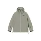 Gray Green