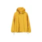 Ginger Yellow