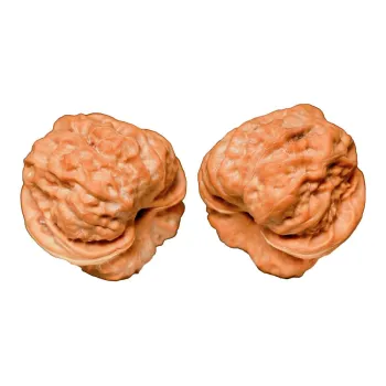 Xihe Core Creation Walnut Fine Handicraft Collectible Unisex