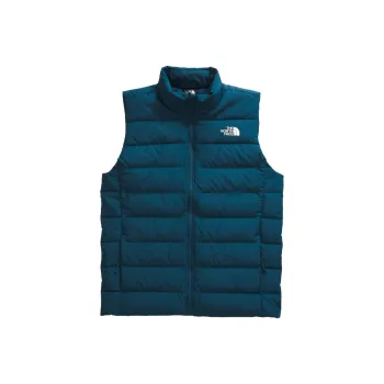 THE NORTH FACE Men's Apex Bionic 3 Vest