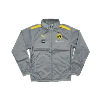 PUMA Dortmund Player Jackets Men Gray