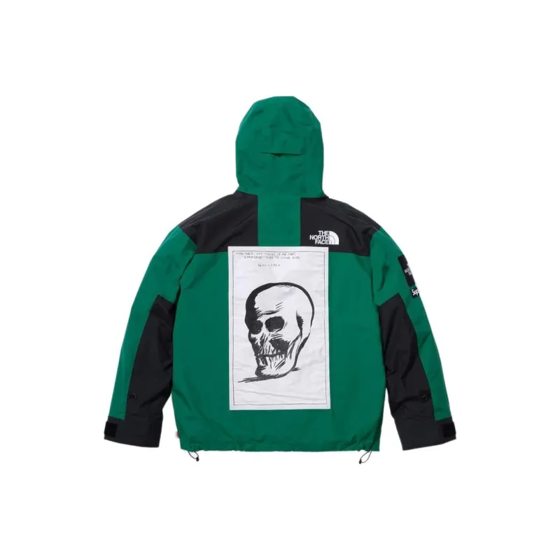 Supreme The North Face Mountain Jacket-3