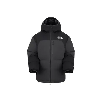 THE NORTH FACE Urban ExplorationUE Collection FW24 DryVent Down Jacket Men's Black