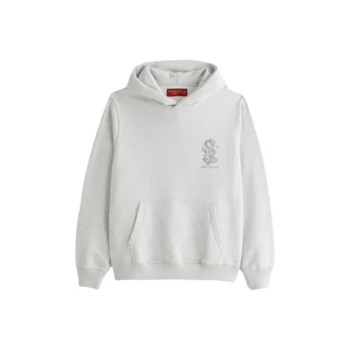 Abercrombie＆Fitch Sweatshirt Men's Heather Gray