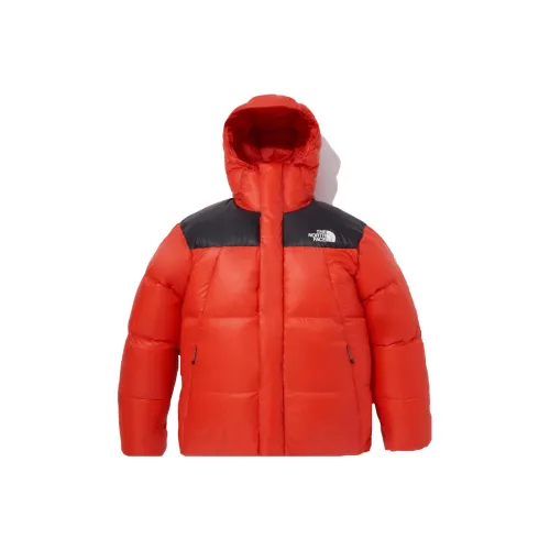 THE NORTH FACE X Brain Dead 89 Placket Pullover Fleece