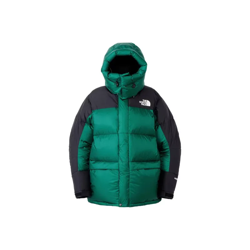 THE NORTH FACE Down Jacket Men's Green-0