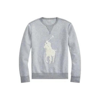 Polo Ralph Lauren FW23 Sweatshirt Men's Gray
