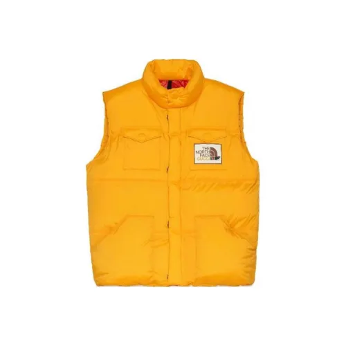 GUCCI X The North Face Down Vest