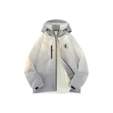 Light Gray