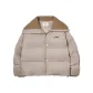 Apricot Brown