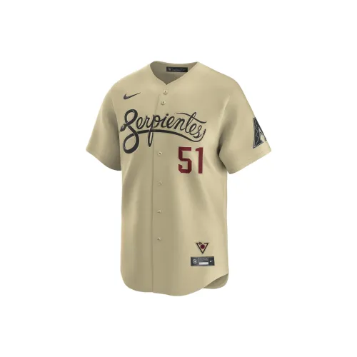 Nike Randy Johnson Arizona Diamondbacks City Connect Men's Nike Dri FIT Adv Mlb Limited Jersey