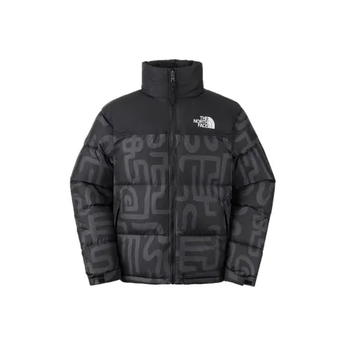 THE NORTH FACE City Outdoor Collection Down Jacket Men's Ink Dyed