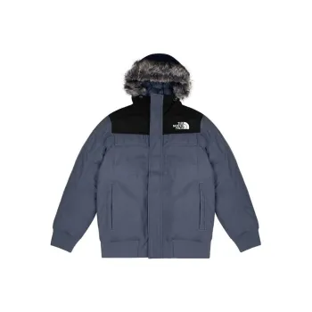 THE NORTH FACE Down Jacket Men's Gray & Black