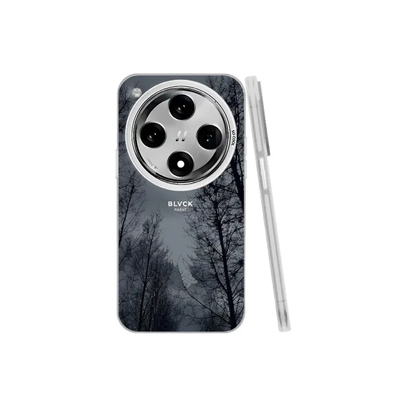 Baochengbao Phone Cases-18