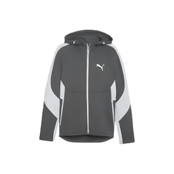 PUMA Veste Zippée À Capuche EVOSTRIPE Jacket Men's Gray