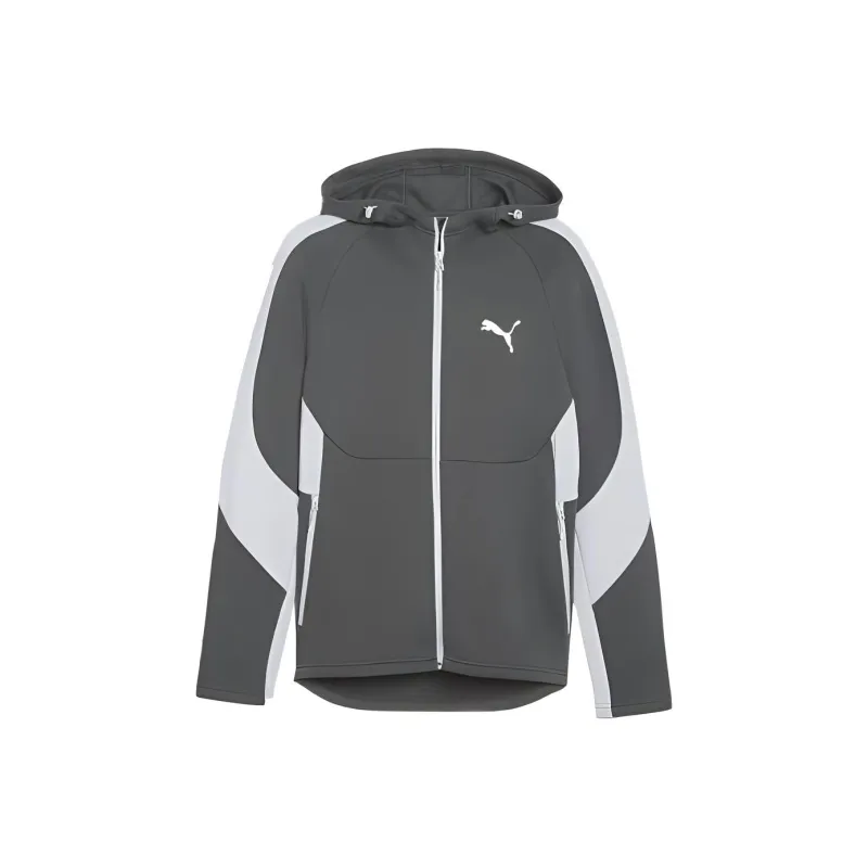 PUMA Veste Zippée À Capuche EVOSTRIPE Jacket Men's Gray-0