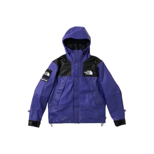 Supreme The North Face Leather Mountain Parka