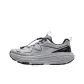 Buckwheat Gray/Silver