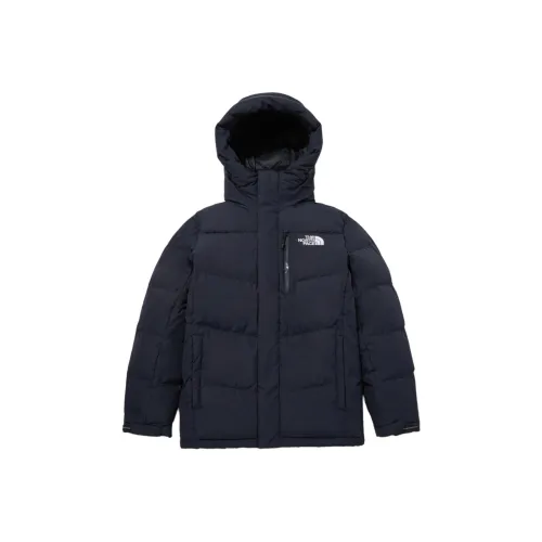THE NORTH FACE ACT FREE EX HYBRID DOWN JACKET Jackets Coats Men's Oil Ink
