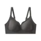 Graphite Gray