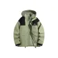 Light Army Green (3-in-1)