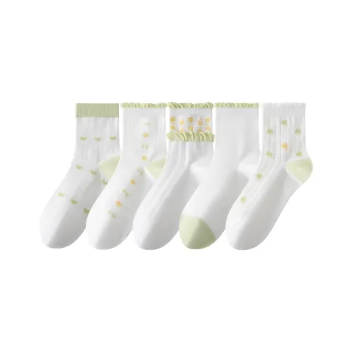 Caramella Mid Calf Socks Women's 5 Pack