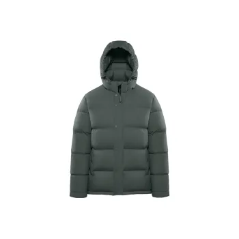 ARITZIA Down Jackets Men